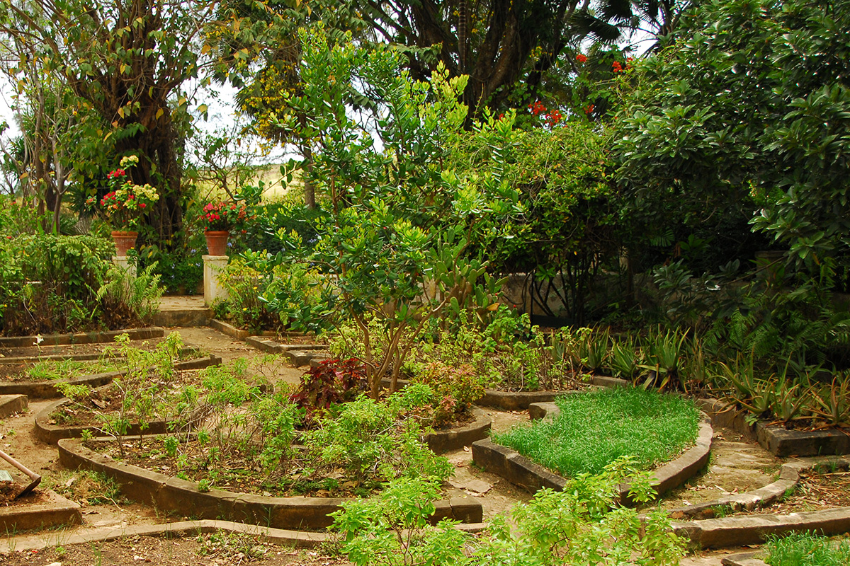 Blocks - PLTN TheEstate HerbGarden 1200x800