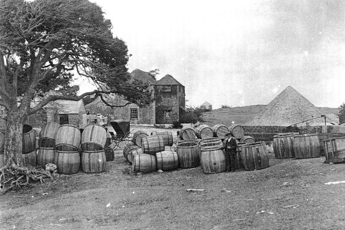 Blocks - RUM RumHeritage ImprovedSpirits1 1200x800 Blocks - RUM RumHeritage ImprovedSpirits1 1200x800